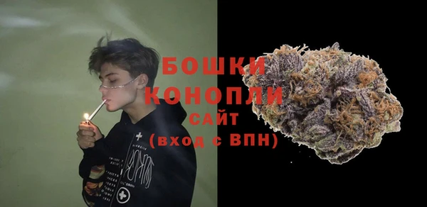 крисы Коряжма