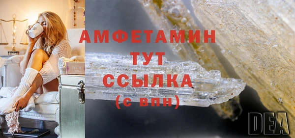 сатива Архангельск