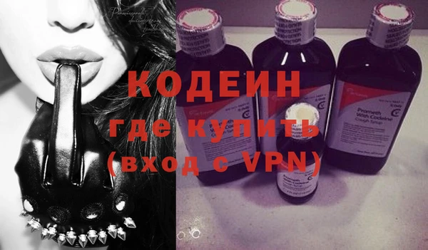 крисы Коряжма