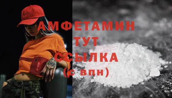 крисы Коряжма
