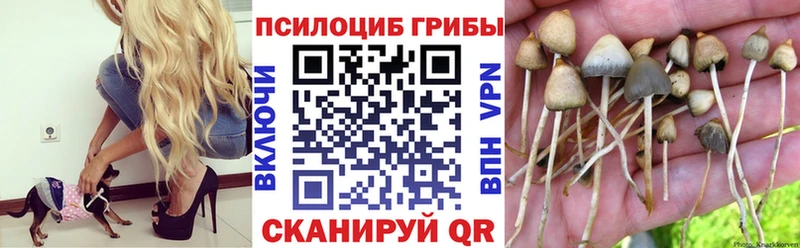 Купить закладки  Печора  Галлюциногенные грибы MAGIC MUSHROOMS 